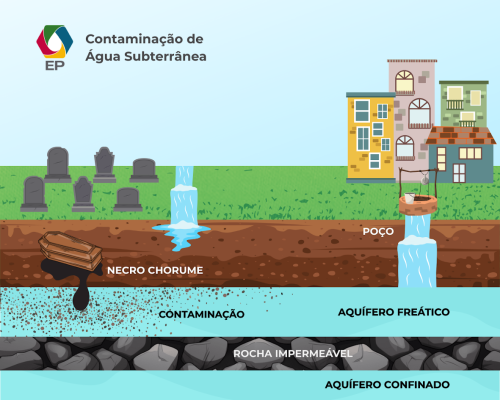 Water contamination, putrescine and cadaverine